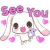 Cute Rabbit 24