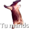 Tu marido
