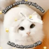 Amorcitos 5