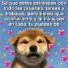 Amorcitos 6