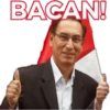 Vizcarra 5