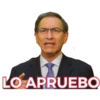 Vizcarra 7