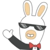 Rabbids 5