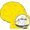 지