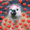 Amorcitos 8