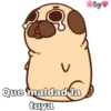 Perritos ?? 5