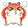 Chloe the Hamster 5