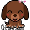 Perritos ?? 7