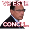 Vizcarra 8