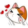 Japanese kitten 6