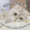 Amorcitos 9