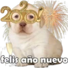 PERRITO PACK 13 8