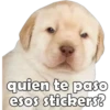PERRITO PACK 13 9