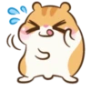Chloe the Hamster 6