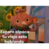 Espera alpaca
tu vieja esta
hablando