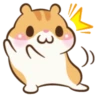 Chloe the Hamster 8
