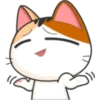 Meow For Mishell 2. 7