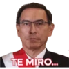 Vizcarra 11
