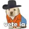 PERRITO PACK 4 7