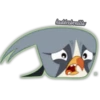 hadderbonilla