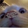 Amorcitos 11