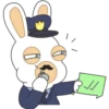 Rabbids 8