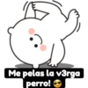 Mi Novio el Osito 7