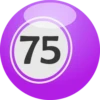 Bingo numbers (61-90) 8