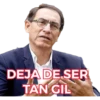 Vizcarra 13
