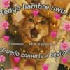 Amorcitos 13