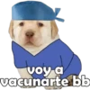 voy a
vacunarte bb