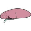 Weird things 6