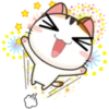 Japanese kitten 12