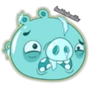 haddeabonilla