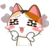 Meow For Mishell 2. 8
