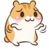 Chloe the Hamster 10