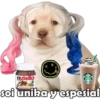 PERRITO PACK 4 9