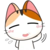 Japanese kitten 13