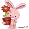 SimaryP-