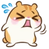 Chloe the Hamster 11