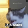 Amorcitos 14
