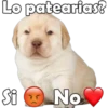 Lo patearias?
Si No