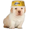 Becel
Oright
