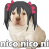 nico nico ni