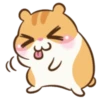 Chloe the Hamster 13