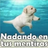 Nadando en
tus mentiras