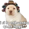i si lo enkuentro
qe te hago??