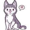 animalitos 11