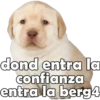 dond entra la
confianza
entra la berg4