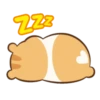Chloe the Hamster 15